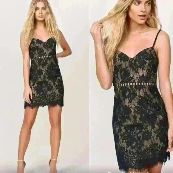 Tobi Nude & Black Lace Minidress Small - Picture 3 of 11